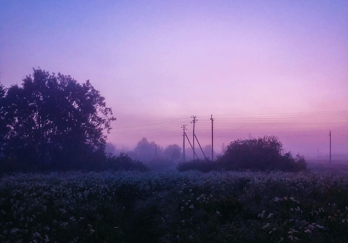 乐鱼VIP——畅享非凡体验的尊贵之选