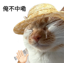 新球体育-官宣！广州社保大调整！